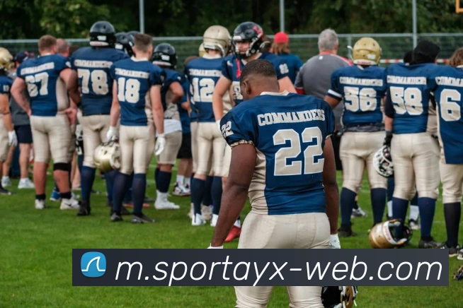 爱游戏平台生态图