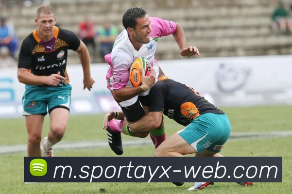 爱游戏APP 封面图